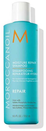 Repair Moisture Repair Shampoo 250 ml