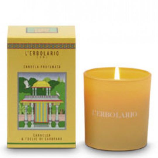 Scented Candle Cinnamon and Geranium Leaves