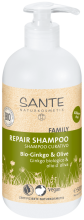 Ginkgo &amp; Olive Shampoo Tratante