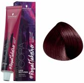 Igora Royal Controlling the Nocturns 5-819