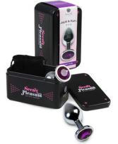 Medium Metal Anal Plug + Bag
