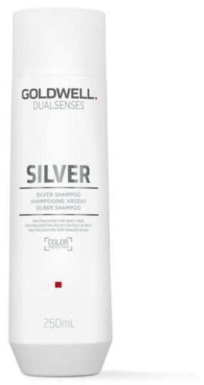 Goldwell Dual Silver Shampoo 250 ml